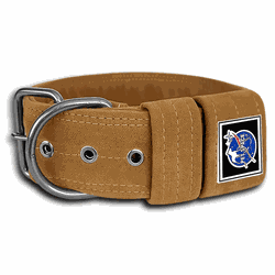 COLEIRA LISA 5cm camurça ocre - 1155 - PETSPACE