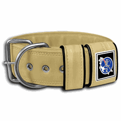 COLEIRA LISA 5cm amarelo ouro - 1118 - PETSPACE