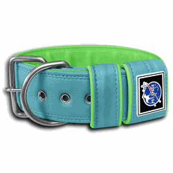 COLEIRA LISA 5cm azul tiffany/ verde fluorescente ... - PETSPACE
