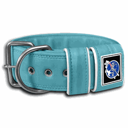 COLEIRA LISA 5cm azul tiffany - 1127 - PETSPACE