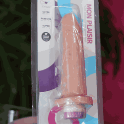 Prótese Com Vibro Interno (17x3.5cm) - Quero Vibrar