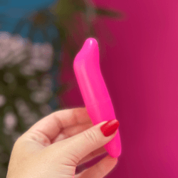 Golfinho - Vibrador Iniciante - Quero Vibrar