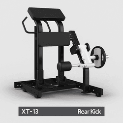 Rear Kick Leg Press - Line - XT - CONSPORT