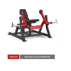 Seated Leg Extension - Line - XVD - CONSPORT