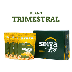 4 Snacks Mensais de Banana Nanica | Plano Trimestr... - Seiva Alimentos