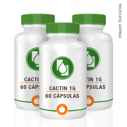 Cactin 1000mg 60cápsulas Combo 3 meses (3 potes co... - Seiva Manipulação | Produtos Naturais e Medicamentos