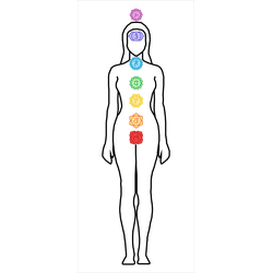 Gráfico Figura Humana Feminina - Corpo Feminino PS... - LOJA TERAPEUTA LUCIANA SILVEIRA