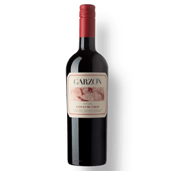 Garzón Estate Tannat De Corte 2022 - The Bog Store