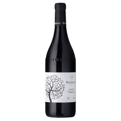 Nebbiolo Bel Colle Langhe DOC 2023 - The Bog Store