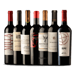 Lenda Chilena — Um Ícone de Cada Casa + Magnum de ... - The Bog Store