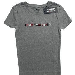 Camiseta Tommy Hilfiger Cinza Logo Colorida - 3616 - USA PARA VOCÊ LOJINHA