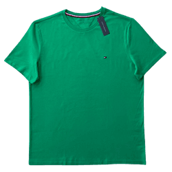 Camiseta Tommy Hilfiger Verde Masculina - 4255 - USA PARA VOCÊ LOJINHA