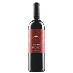 CAELUM MALBEC RESERVA 2018 - Vinho Justo