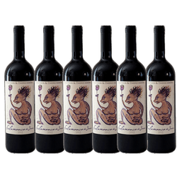 Salamanca do Jarau 2020 (CAIXA COM 6 UNIDADES) - Vinho Justo