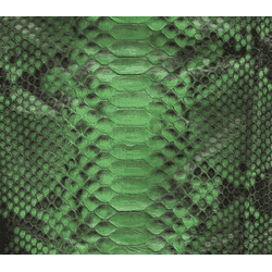 Couro de Python Back Cut 3,35 x 30 Verde - Exotic Couros