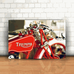 Placa Decorativa - Triumph Vintage - 053n342 - Inter Adesivos Decorativos
