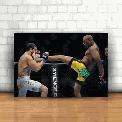Placa Decorativa - UFC - 053h083 - Inter Adesivos Decorativos