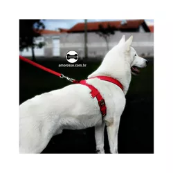 Peitoral Tradicional Amorosso® (Vermelho E Preto) + Guia Curta 80cm - 7001-023-014-6201-0.80 - Amorosso