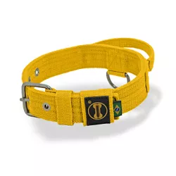 Coleira Cachorro Poderosso Fit Amorosso Amarelo - ... - Amorosso