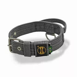 Coleira Cachorro Poderosso Fit Amorosso Cinza - 48... - Amorosso