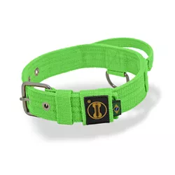 Coleira Cachorro Poderosso Fit Amorosso Verde Neon - 4801-021-FP - Amorosso