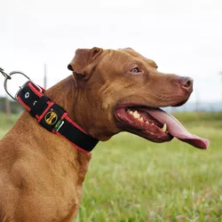  Coleira Para Cachorro Fit Lite (preto e vermelho) - 4301-014-023-C - Amorosso