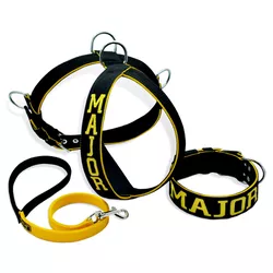 Kit Peitoral e Coleira Personalizada + Guia 80cm - Preto e Amarelo - 7001-4001-6201-P-0.80-014-001-P... - Amorosso