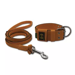 Coleira Para Cachorro + Super Guia 1,50m (Laranja e preto) - 4001-010-014-6301-CG - Amorosso