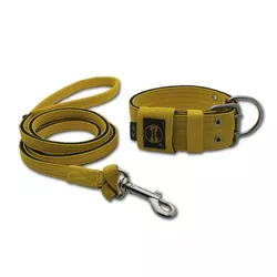 Coleira Para Cachorro + Super Guia 1,50m (amarelo e preto) - 4001-001-014-6301-CG - Amorosso