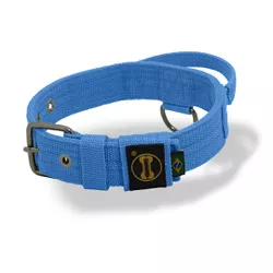 Coleira Para Cachorro Poderosso FIT (Azul Claro) - 4801-004-FP - Amorosso