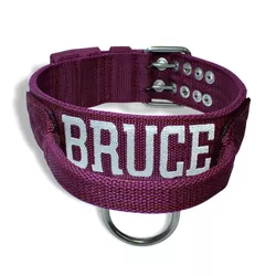 Coleira Para Cachorro Com Alça Personalizada (vinho e branco) - pod.p.18 - Amorosso