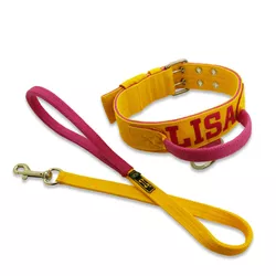 Coleira Poderosso Personalizada + Guia de Passeio (Amarelo e Pink) - pod.p.1.23_g.1.23 - Amorosso