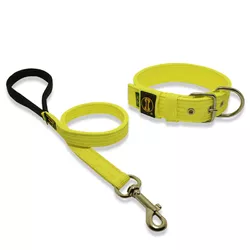 Coleira Para Cachorro Fit + Guia / Amarelo Flúor - 4001-002-6201-0.80-CG - Amorosso