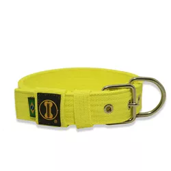 Coleira Para Cachorro Fit (amarelo flúor) - 4201-0... - Amorosso