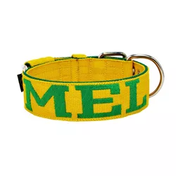 Coleira Para Cachorro Personalizada ( amarelo e verde ) - 4001-001-020-P - Amorosso