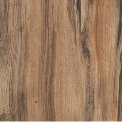 PISO 61X61 FORMIGRES ECONATURE MARROM HD BRILHANTE - FLUZÃO CONSTRUÇÃO