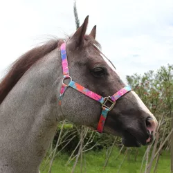 Cabresto para Cavalo Nylon Estampado Boots Horse 3... - LETÍCIA COUNTRY IMPORT'S