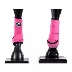 Boleteira Dianteira Color Boots Horse 4491 - 4491 - LETÍCIA COUNTRY IMPORT'S