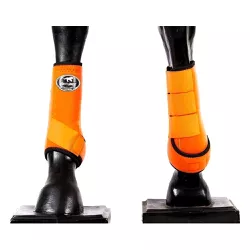 Boleteira Dianteira Color Boots Horse 4495 - 4495 - LETÍCIA COUNTRY IMPORT'S