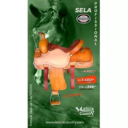 Sela Completa Nogueira 1000 Padrão Com Couro Virad... - LETÍCIA COUNTRY IMPORT'S