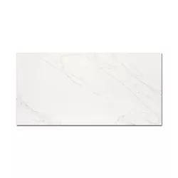 Porcelanato Elizabeth 50X101 Giotto HD A M² - Loja Gomes