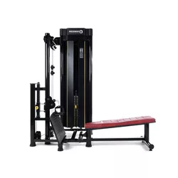 Polia Baixa carga 100 kg - 0529-1 - MOLD MAC FITNESS