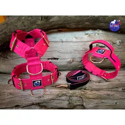 KIT PEITORAL UNIVERSAL, COLEIRA TÁTICA E GUIA DE P... - PETSPACE