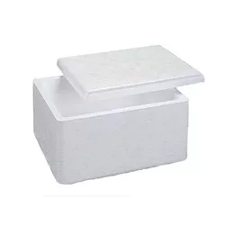 Caixa de EPS (Isopor) Sorvete 0,4L c/1 und - Plaspel Comercial - Embalagens e Descartáveis