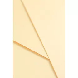 Papel Color Plus