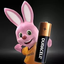 Pilha Alcalina Pequena AA C/2 (96387) Duracell 