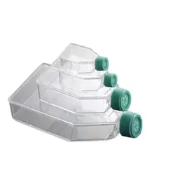 FRASCO CULTURA POLIESTIRENO 75CM2 COM FILTRO 5 UNI... - SCQ Soluções Laboratoriais | Tudo para seu laboratório!