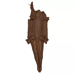 Couro de Jacaré Acab. HB (Caiman Yacare) Caramelo ... - Exotic Couros