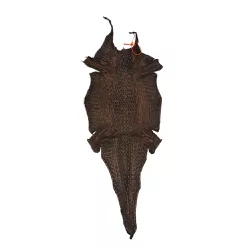 Couro De Jacaré (Caiman Yacare ) Tabaco Rustic Lix... - Exotic Couros