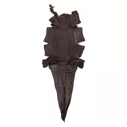 Couro De Jacaré (Caiman Yacare ) Café - Exotic Couros